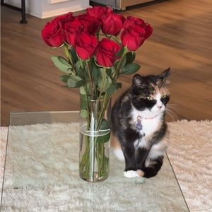 Meet your Posher, Michaela